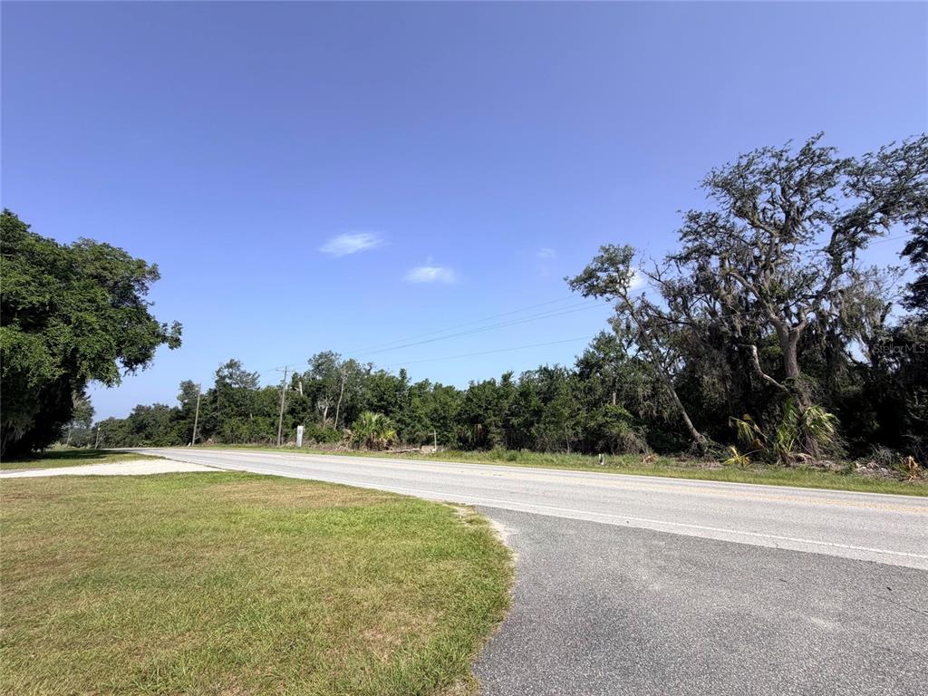 A paved road runs alongside a grassy area with dense trees under a clear sky — 24601 SE HIGHWAY 42, UMATILLA, FL