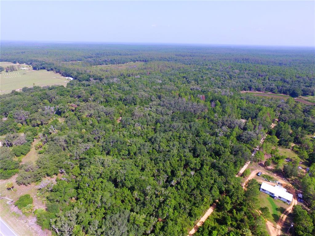 An aerial view shows a large, wooded property with a house and dirt driveway — 24601 SE HIGHWAY 42, UMATILLA, FL