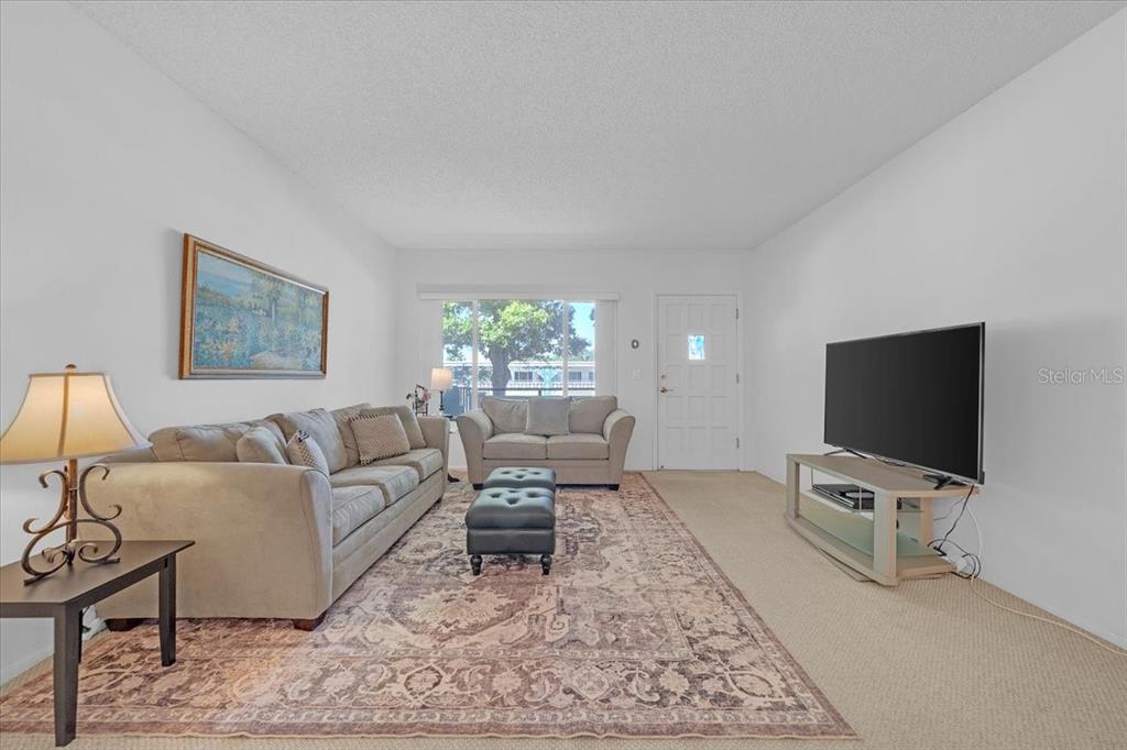 A living room features a beige sofa, a loveseat, a television, and a patterned rug — 2401 FRANCISCAN DRIVE UNIT 41, CLEARWATER, FL