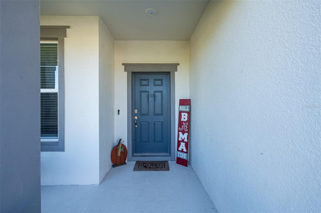 9224 RALLY SPRING LOOP, WESLEY CHAPEL, FL — photo 5 of 30