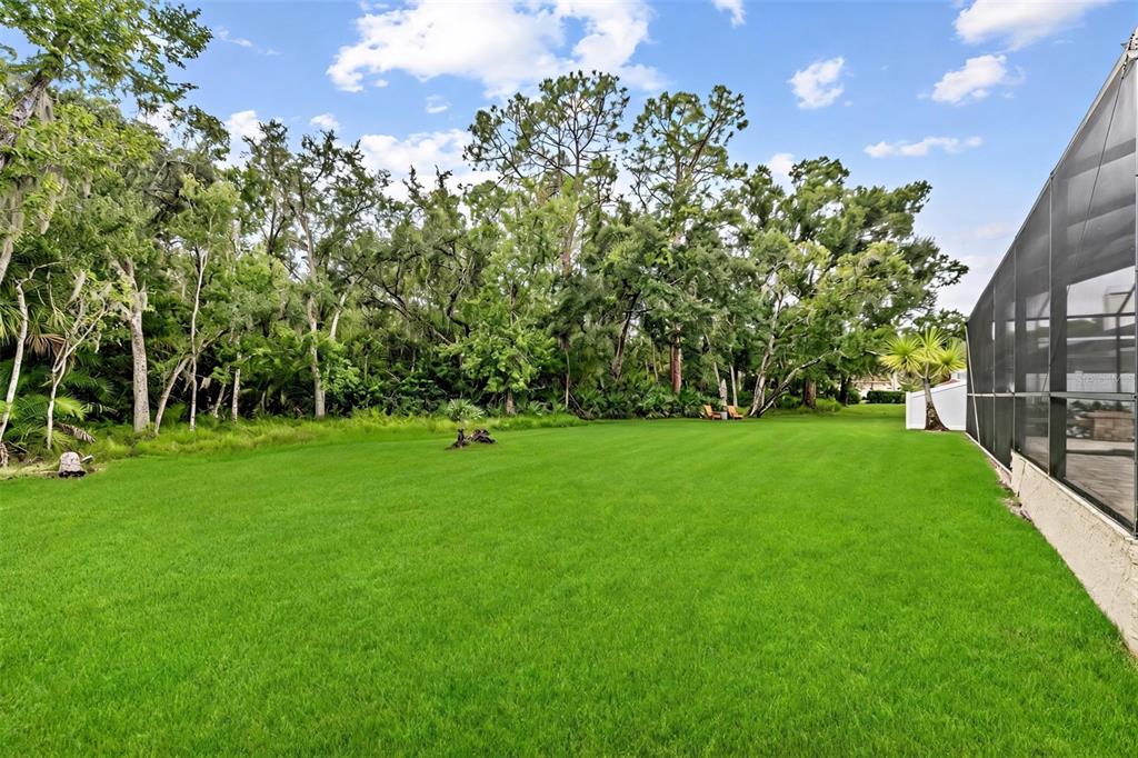 15713 MUIRFIELD DRIVE, ODESSA, FL — photo 3 of 30