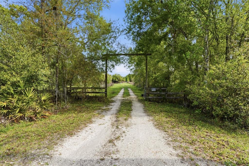 A dirt driveway leads through a wooden gate and archway into a wooded property — 32400 TAYLOR GRADE ROAD, DUETTE, FL