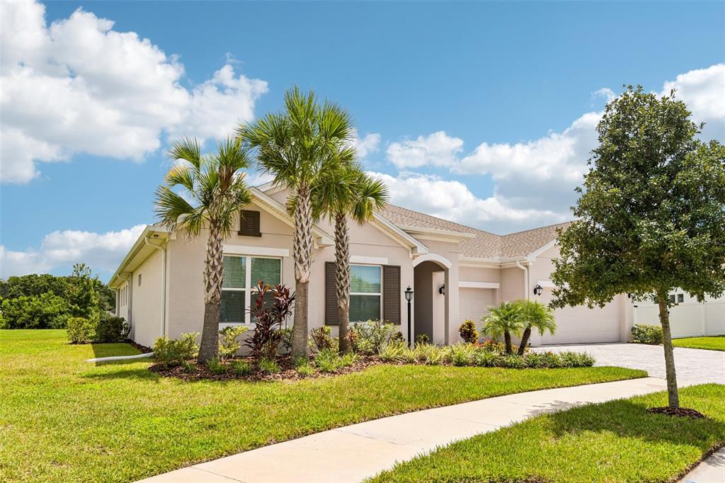 A single-story house with a beige exterior, palm trees, and a paved driveway — 7510 ASHBROOKE PINE LOOP, ODESSA, FL