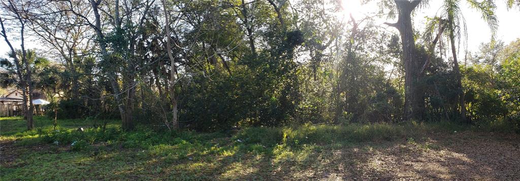 W 10TH STREET W, APOPKA, FL — photo 2 of 2