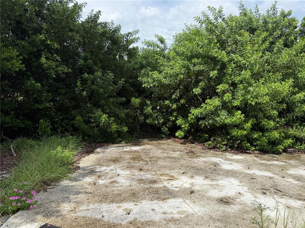 A concrete slab sits in front of dense green trees and bushes — 3621 ANNONA COURT, HOLIDAY, FL