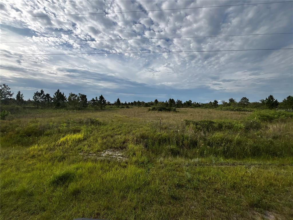 A wide, grassy, undeveloped lot features a wire fence and scattered trees under a cloudy sky — 14819 NW 274TH STREET, OKEECHOBEE, FL