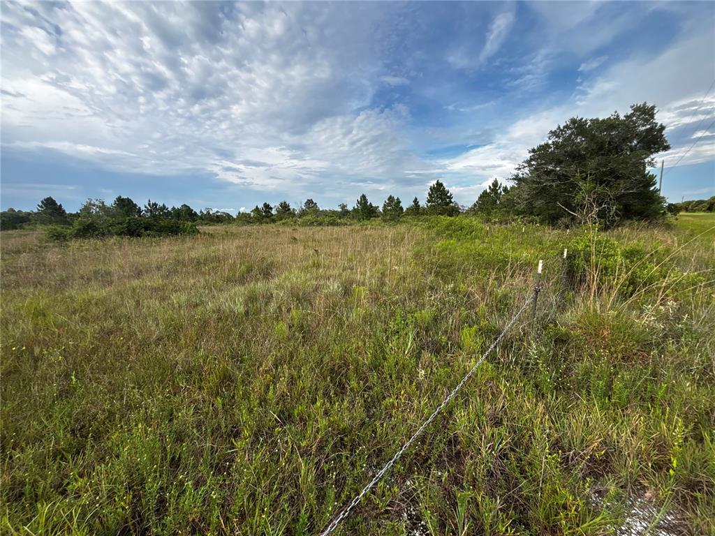 A grassy, undeveloped field is bordered by a wire fence and a line of trees — 14819 NW 274TH STREET, OKEECHOBEE, FL