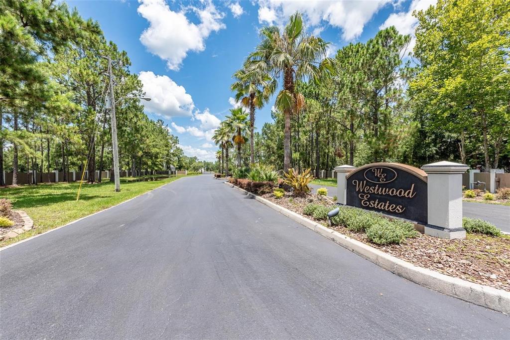 A paved road leads to the entrance sign of a community named Westwood Estates — 8616 SPRING FOREST LANE, WESLEY CHAPEL, FL