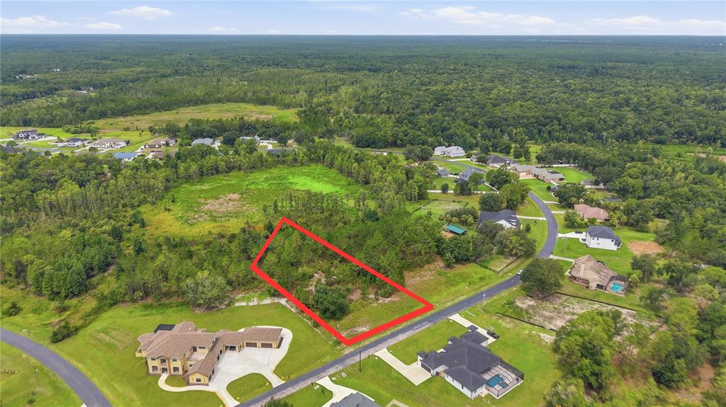 An aerial view shows a rectangular vacant lot outlined in red within a residential neighborhood — 8616 SPRING FOREST LANE, WESLEY CHAPEL, FL