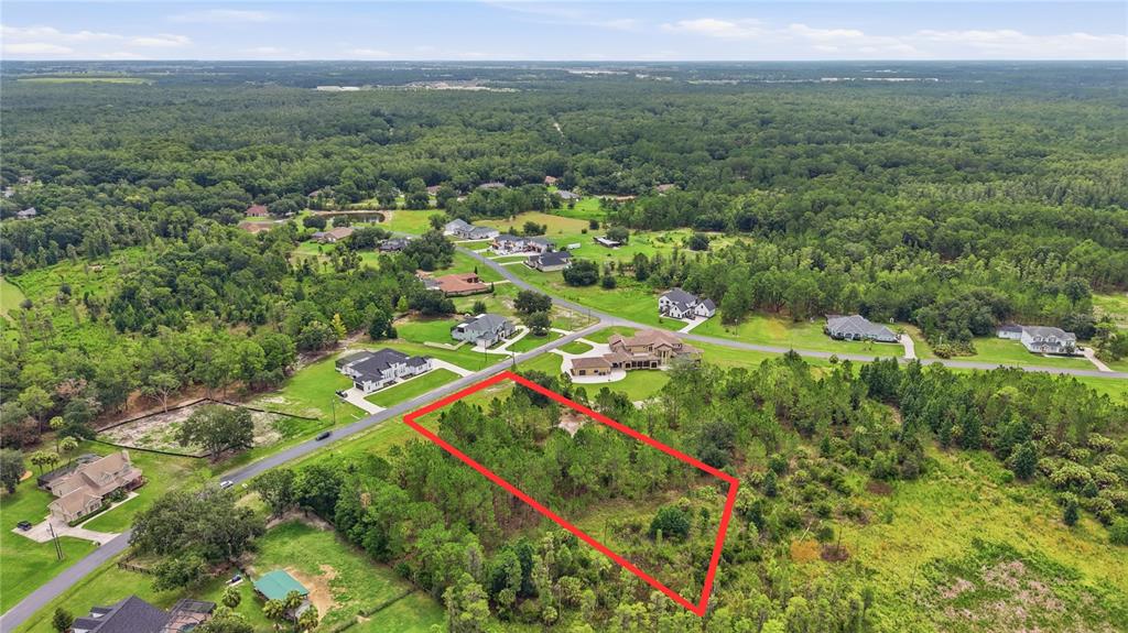An aerial view shows a rectangular, wooded vacant lot outlined in red next to houses — 8616 SPRING FOREST LANE, WESLEY CHAPEL, FL