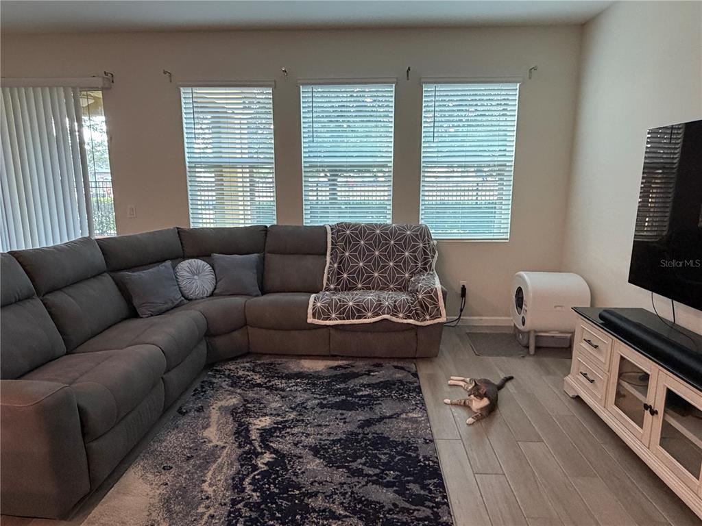 A living room features a gray sectional sofa, a patterned rug, and a cat on the floor — 9896 RED EAGLE DRIVE, ORLANDO, FL