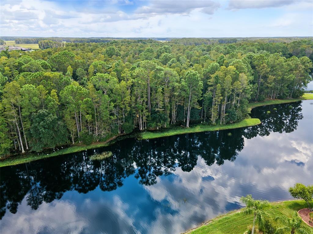 1300 TRIMARAN PLACE, TRINITY, FL — photo 3 of 30