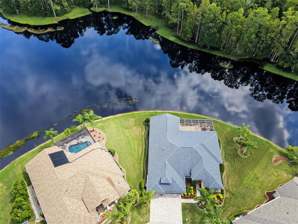 1300 TRIMARAN PLACE, TRINITY, FL — photo 4 of 30