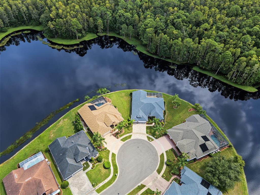 1300 TRIMARAN PLACE, TRINITY, FL — photo 5 of 30
