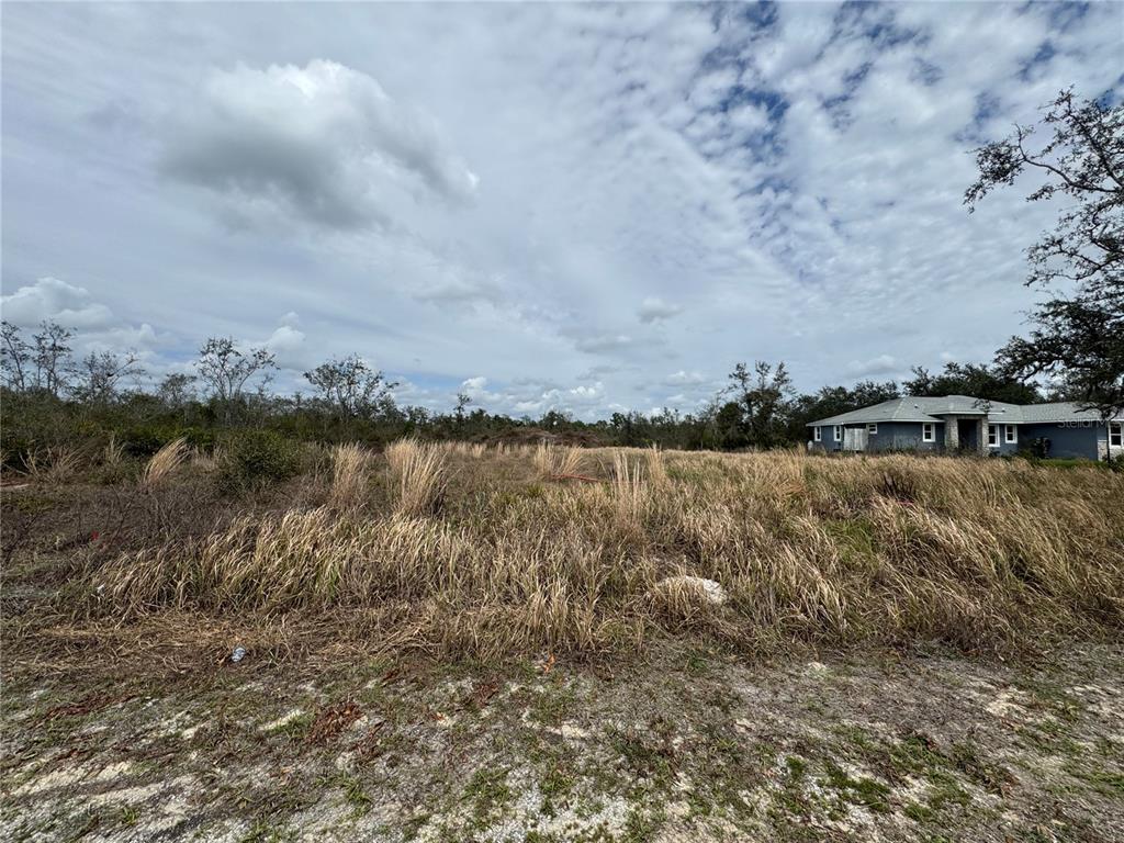 A vacant, grass-covered lot sits in front of a single-story house under a cloudy sky — 8500 SW AVIARY ROAD, ARCADIA, FL