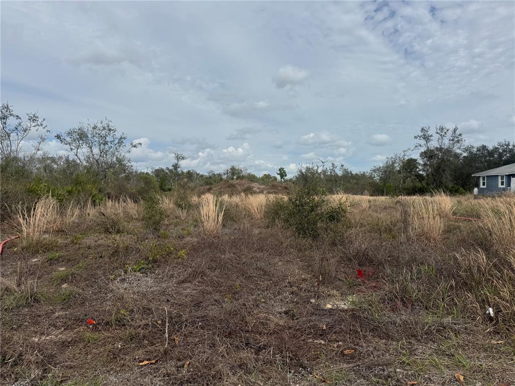 A vacant, grassy lot with scattered shrubs and trees under a cloudy sky — 8500 SW AVIARY ROAD, ARCADIA, FL