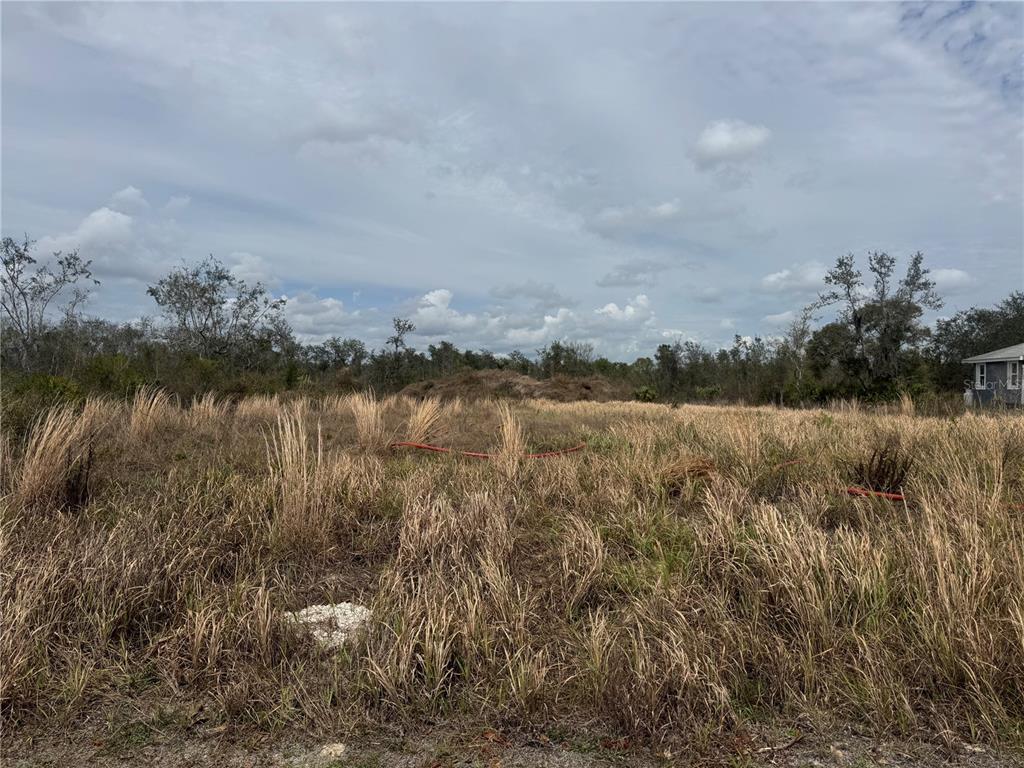 A vacant, grassy lot with scattered brush and trees under a cloudy sky — 8500 SW AVIARY ROAD, ARCADIA, FL