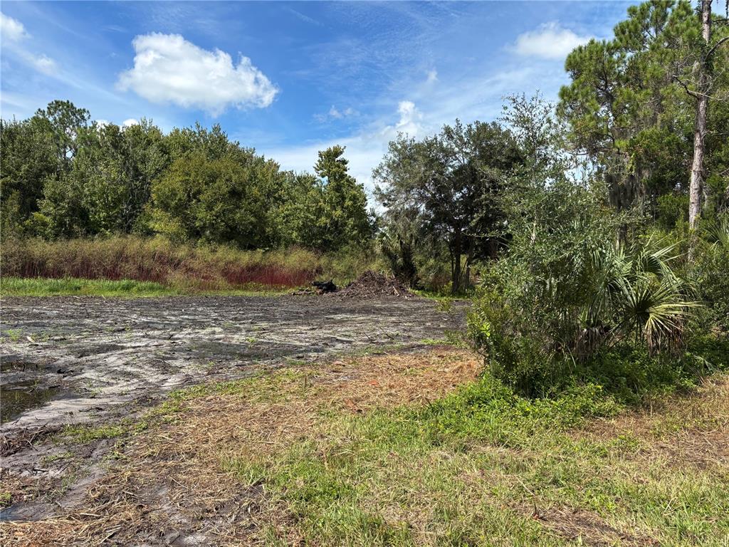 864 RASLEY ROAD, NEW SMYRNA BEACH, FL — photo 5 of 23