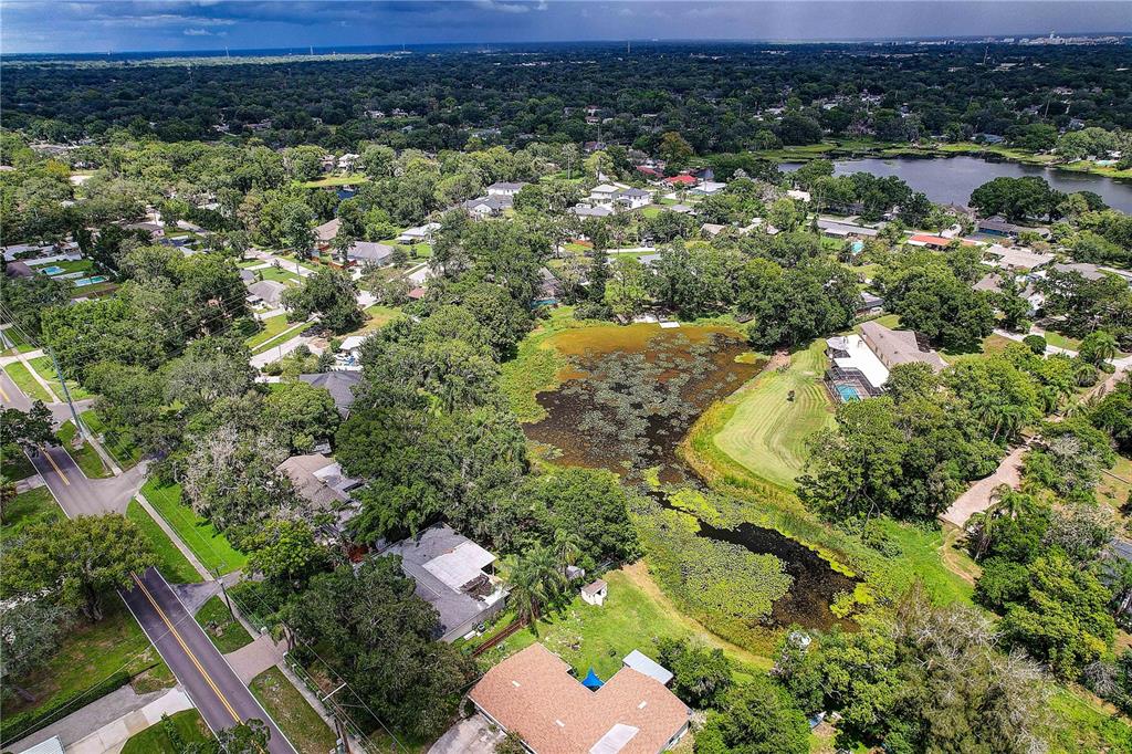 A single-story house exterior features a paved walkway leading to a dark front door — 1508 ECKLES DRIVE, TAMPA, FL