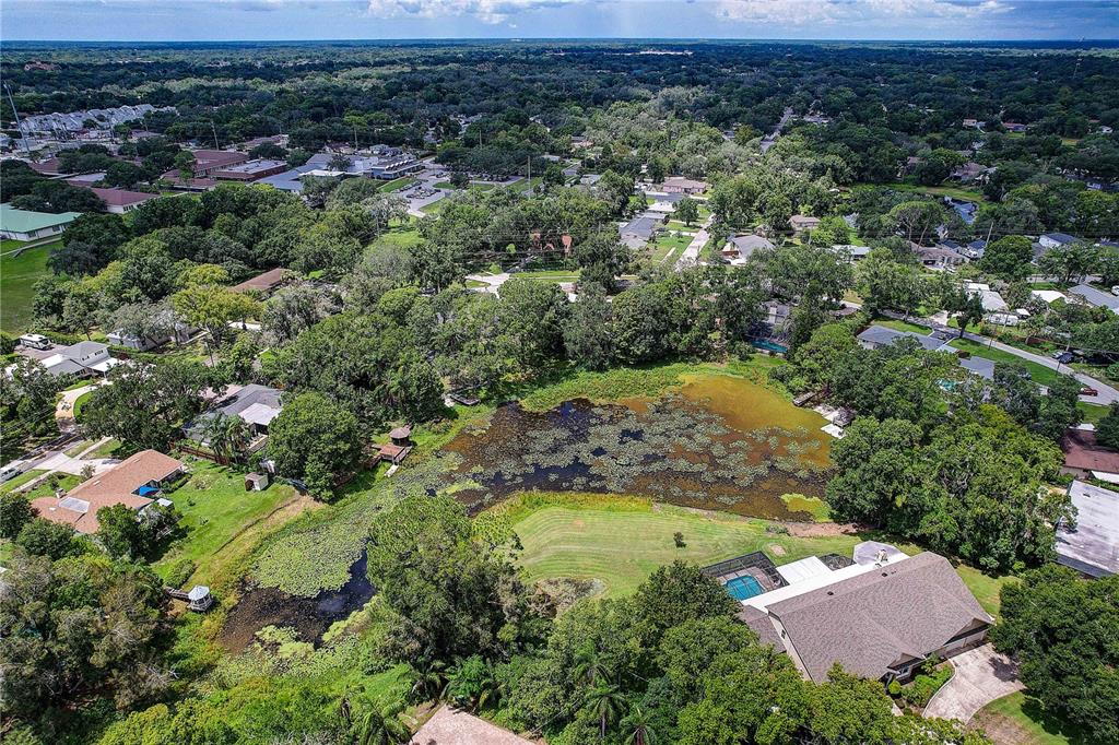 A single-story house with a gray roof sits behind a large tree and landscaped yard — 1508 ECKLES DRIVE, TAMPA, FL