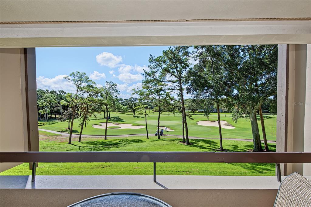 36750 US HIGHWAY 19 N UNIT 2769, PALM HARBOR, FL — photo 3 of 96