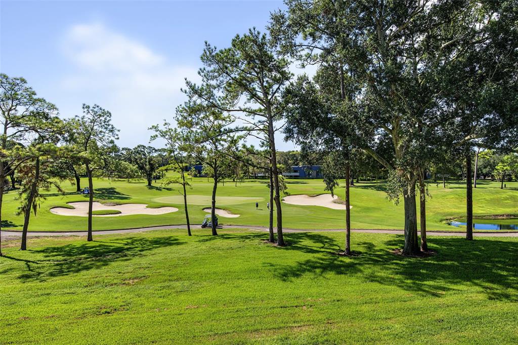 36750 US HIGHWAY 19 N UNIT 2769, PALM HARBOR, FL — photo 4 of 96