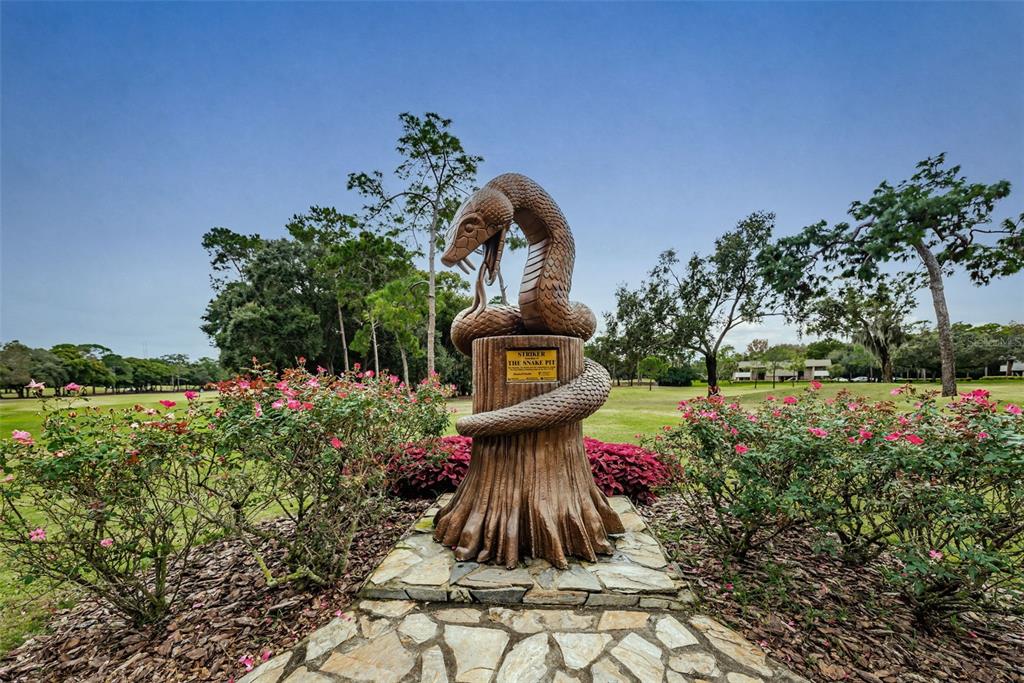 36750 US HIGHWAY 19 N UNIT 2769, PALM HARBOR, FL — photo 5 of 96