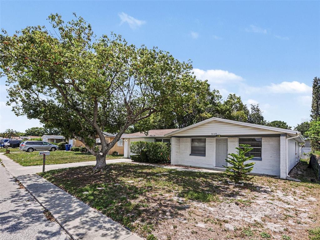 A single-story white brick house features a large tree in the front yard — 3609 TRUMAN DRIVE, HOLIDAY, FL