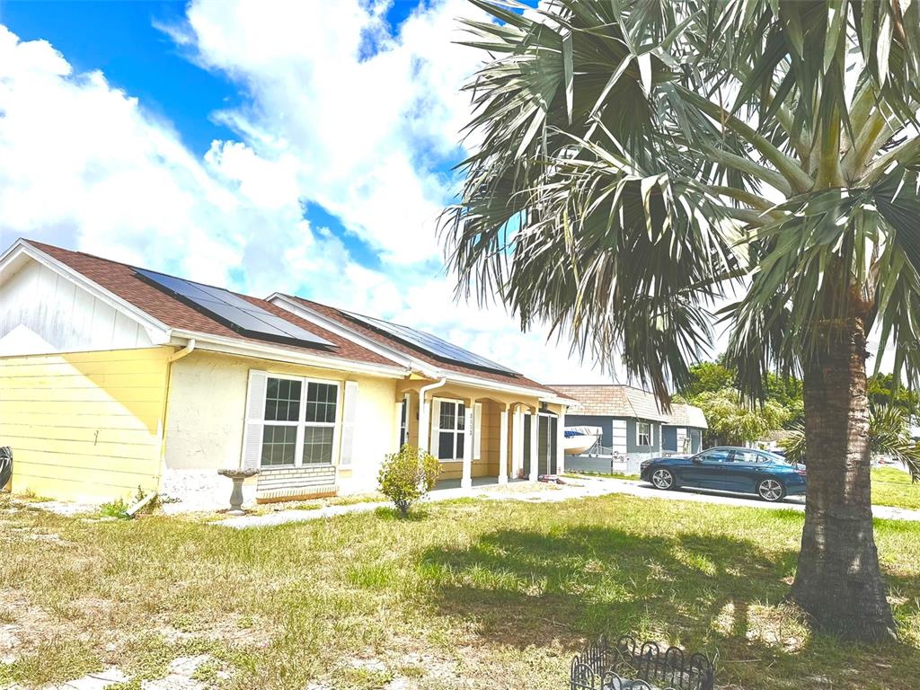 A single-story house with yellow siding, a brown roof with solar panels, and a palm tree — 3153 MOOG ROAD, HOLIDAY, FL