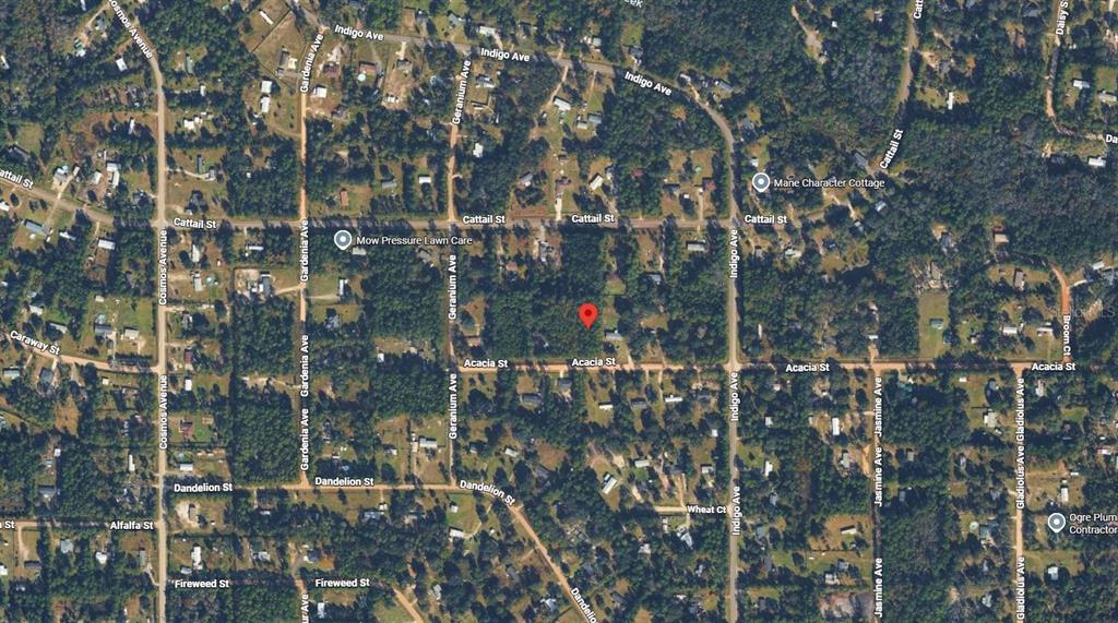 4818 ACACIA STREET, MIDDLEBURG, FL — photo 3 of 7