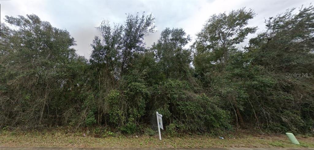 A densely wooded, undeveloped residential lot features a real estate sign near the roadside — SE HAWTHORNE RD, HAWTHORNE, FL