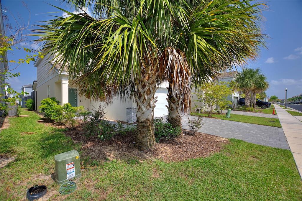 A palm tree stands in the front yard of a suburban house with a driveway — 7384 OAKMOSS LOOP, DAVENPORT, FL