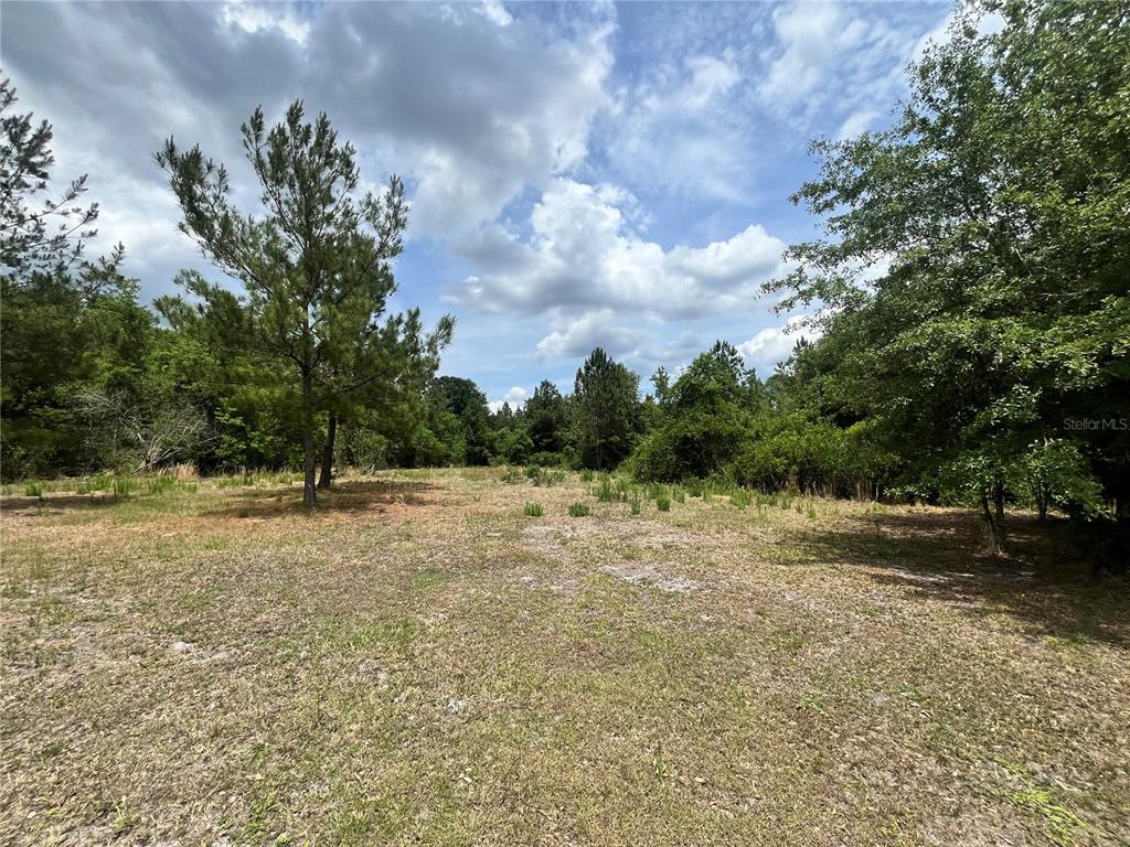 A grassy, partially cleared lot is surrounded by dense trees under a cloudy sky — 0 NW COUNTY ROAD 229, STARKE, FL