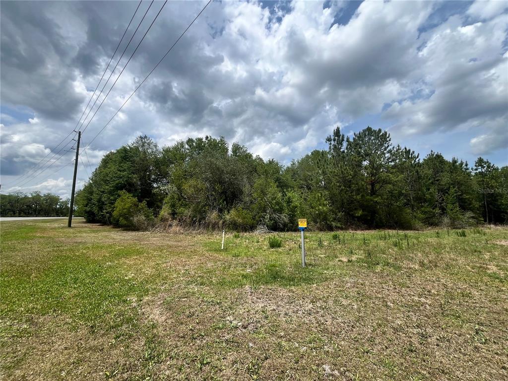 A grassy, undeveloped lot features a small yellow sign and dense trees in the background — 0 NW COUNTY ROAD 229, STARKE, FL