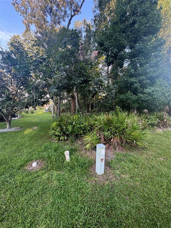 A grassy yard features a utility pedestal, two small pipes, and dense trees and shrubs — NW 114TH COURT, CHIEFLAND, FL