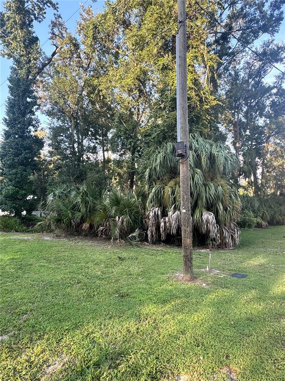 A utility pole stands in a grassy yard in front of dense trees and palm bushes — NW 114TH COURT, CHIEFLAND, FL