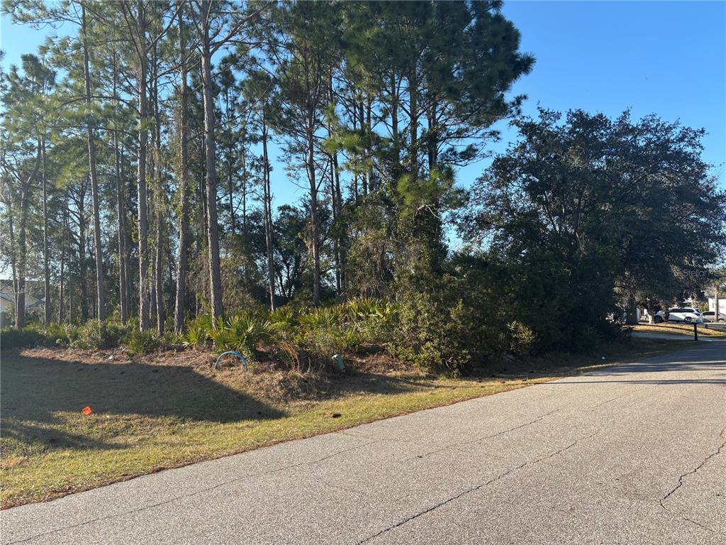 A vacant, wooded residential lot sits at the corner of a paved suburban street — 6 FLINT HILL LANE, PALM COAST, FL