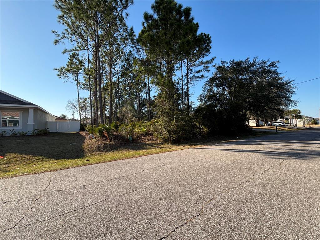 A vacant, wooded residential lot sits next to a house along a paved street — 6 FLINT HILL LANE, PALM COAST, FL