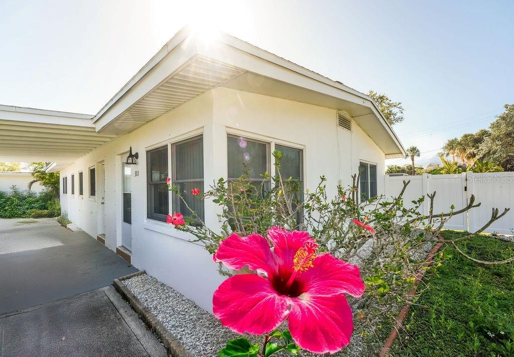 A large tree shades a grassy backyard with a white fence and a storage shed — 301 41ST AVENUE, ST PETE BEACH, FL