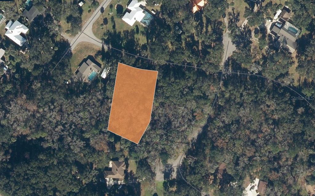 203 SPRING CREEK DRIVE