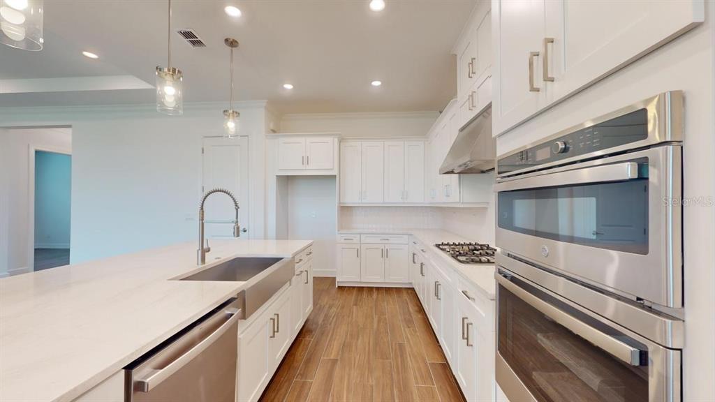 A kitchen with white cabinetry, stainless steel appliances, a chandelier, and wood-look tile flooring — 30175 IMPERATI BOULEVARD, WESLEY CHAPEL, FL
