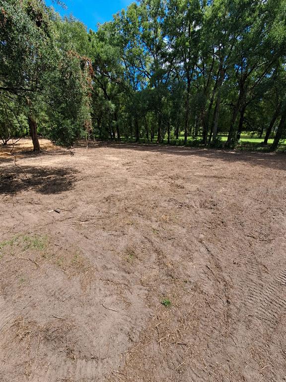 A cleared, dirt-covered lot is bordered by a line of mature trees — 5601 NW 71ST STREET, OCALA, FL