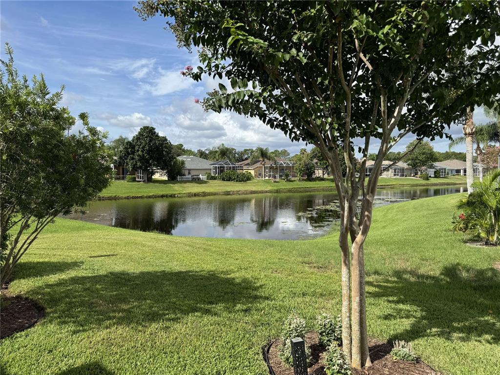 4103 SNIPE LANE, LAND O LAKES, FL — photo 3 of 40