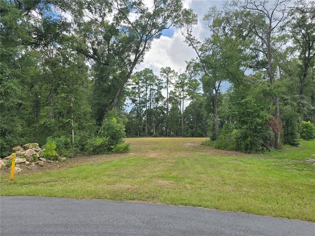 A vacant, grassy lot is bordered by dense trees and a paved road — 1003 SW 175TH COURT, NEWBERRY, FL