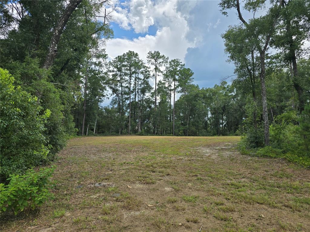 A cleared, grassy lot surrounded by tall trees under a partly cloudy sky — 1003 SW 175TH COURT, NEWBERRY, FL