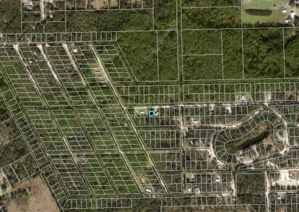 This is an aerial map showing property lot lines over a wooded residential area — 711 HICKORY NUT TRAIL, SATSUMA, FL