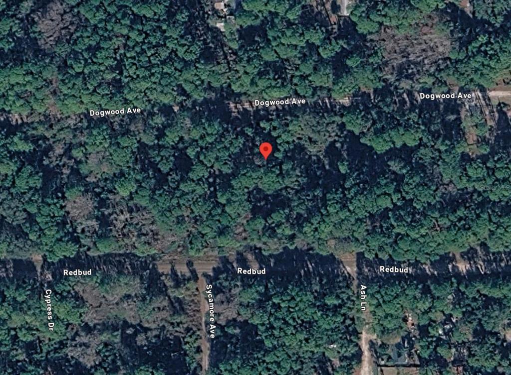 217 DOGWOOD AVENUE, GEORGETOWN, FL — photo 2 of 7
