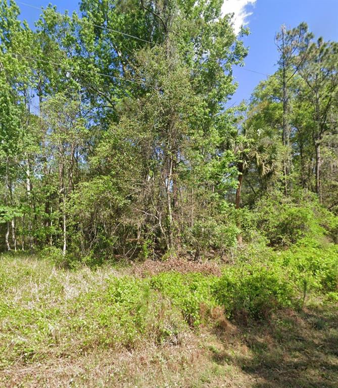 217 DOGWOOD AVENUE, GEORGETOWN, FL — photo 3 of 7