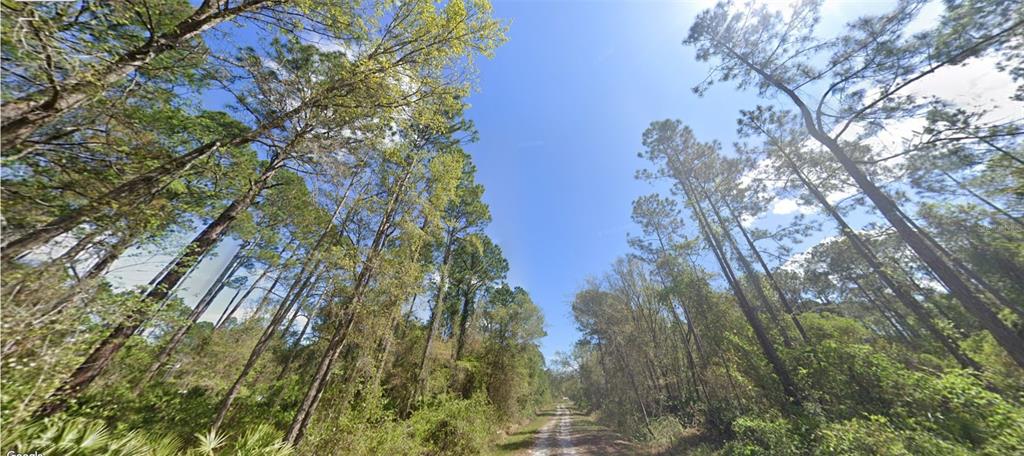 217 DOGWOOD AVENUE, GEORGETOWN, FL — photo 4 of 7