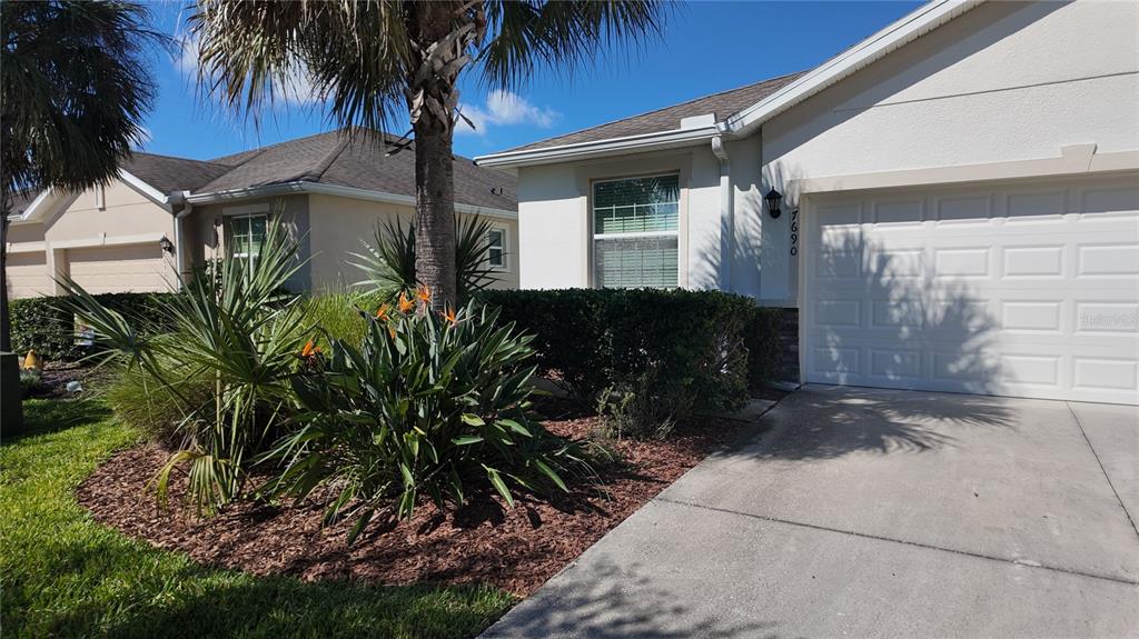 A single-story house exterior features a white garage, a palm tree, and landscaped garden beds — 7690 TIMBERVIEW LOOP, WESLEY CHAPEL, FL